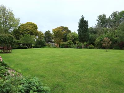 Picture 19